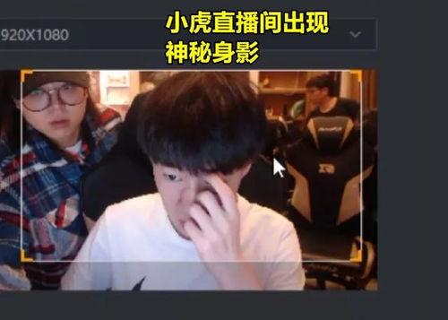 小虎淘气爆料视频播放全集,全集揭秘淘气背后的故事  第1张